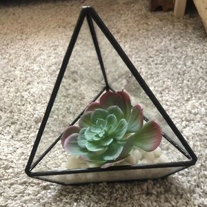 Terrarium